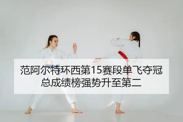 fan-a-er-te-huan-xi-di-sai-duan-dan-fei-duo-guan-zong-cheng-ji-bang-qiang-shi-sheng-zhi-di-er-2-515.jpg