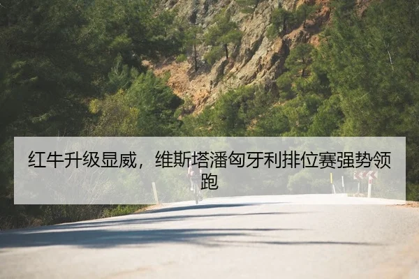 红牛升级显威，维斯塔潘匈牙利排位赛强势领跑